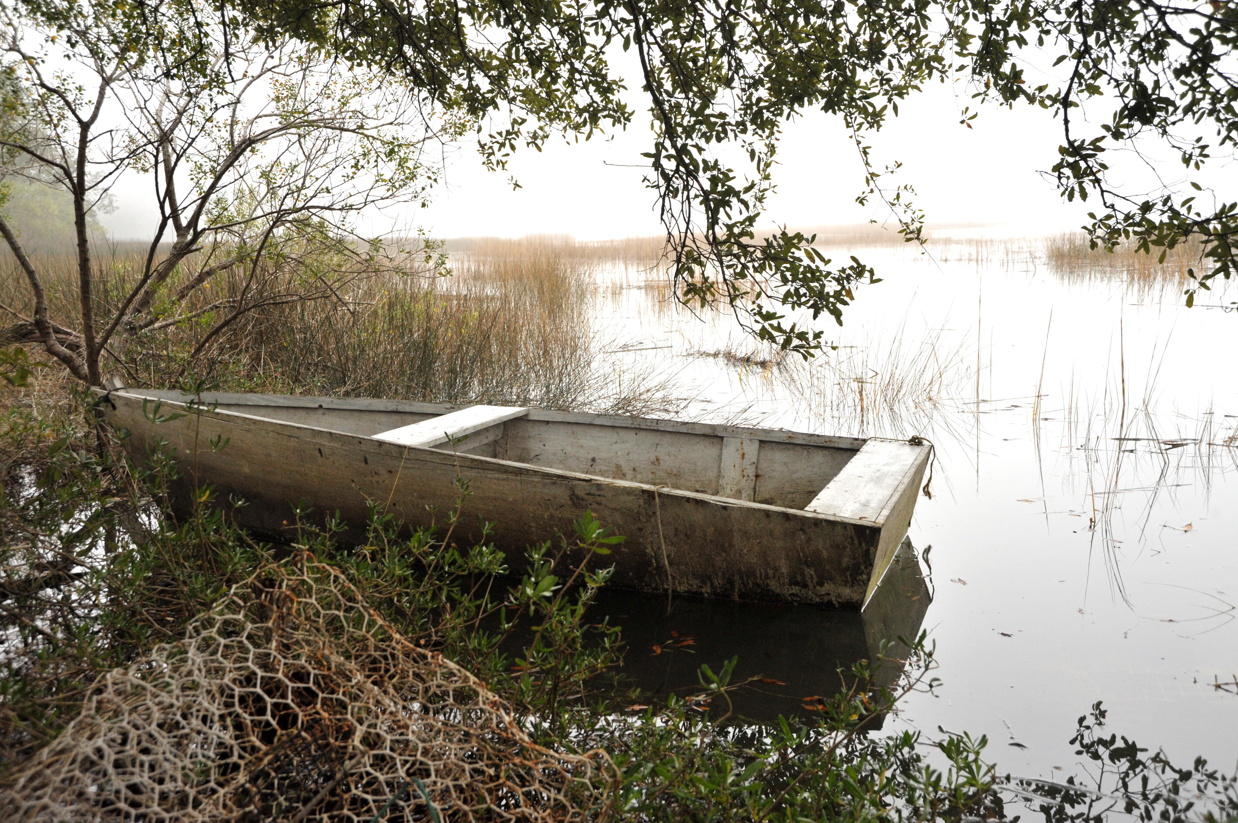 Selected Works: Marci Tressel